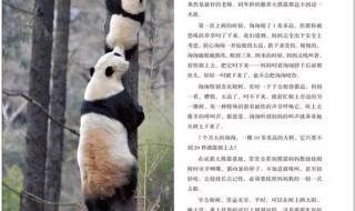 关于大熊猫的资料有什么 关于熊猫的资料